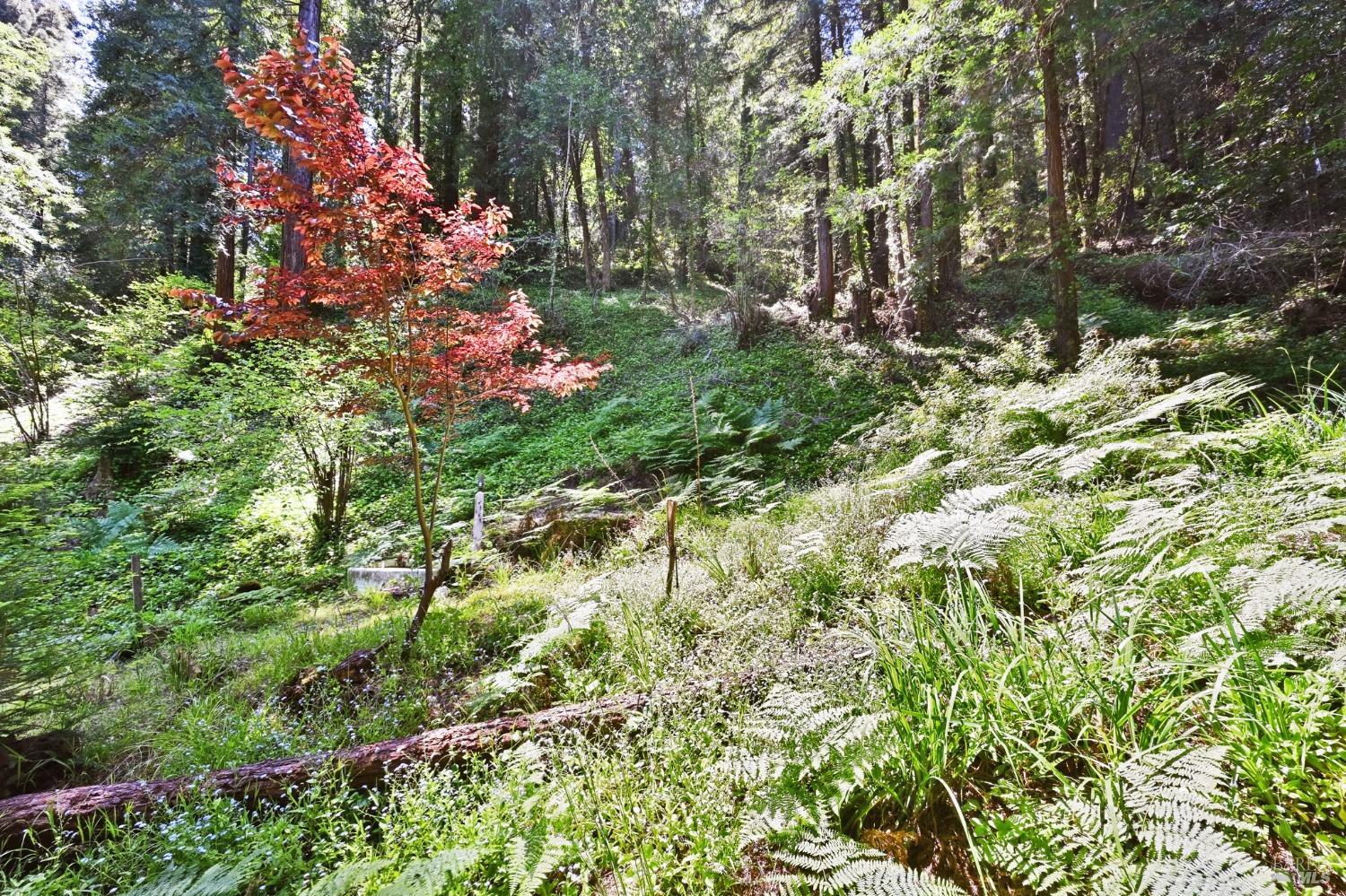 21713 Starrett Hill Drive Monte Rio, CA 95462 - Photo 45 of 50