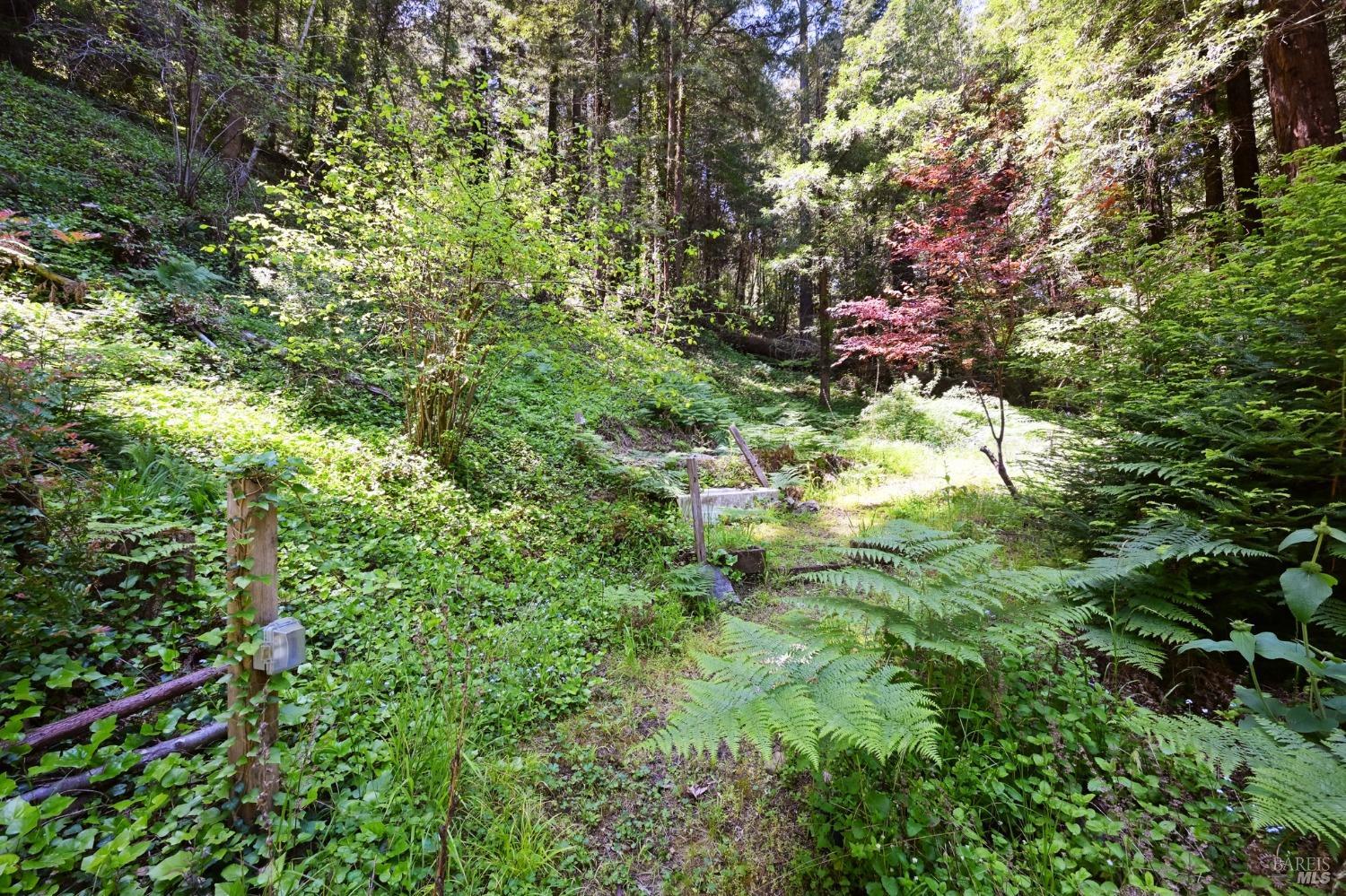 21713 Starrett Hill Drive Monte Rio, CA 95462 - Photo 48 of 50