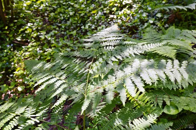 $450,000 | 21713 Starrett Hill Drive, Monte Rio, CA 95462