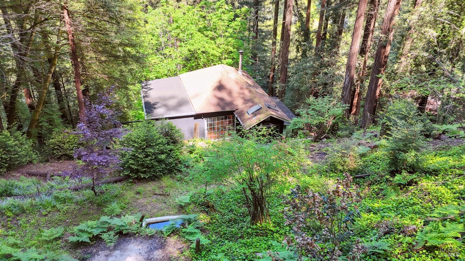 21713 Starrett Hill Drive Monte Rio, CA 95462 - Photo 50 of 50