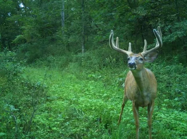 $1,450,000 | 32974 Potter Lane, Muscoda, WI 53573