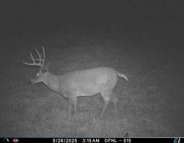 32974 Potter Lane Muscoda, WI 53573 - Photo 12 of 85