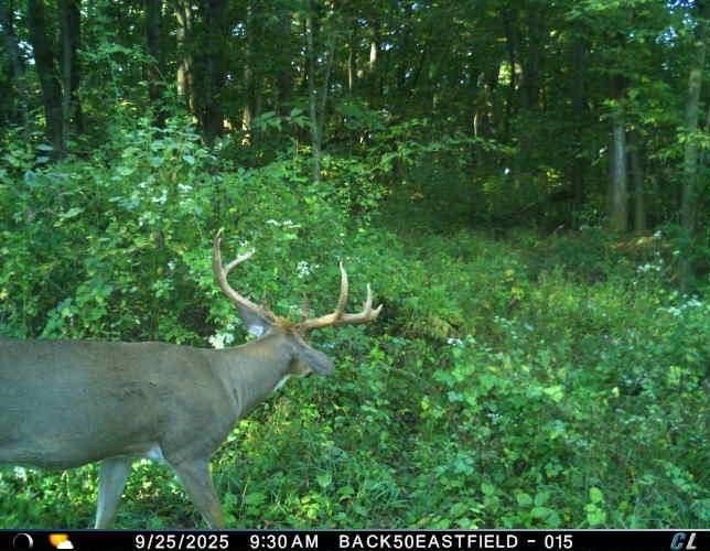 32974 Potter Lane Muscoda, WI 53573 - Photo 13 of 85