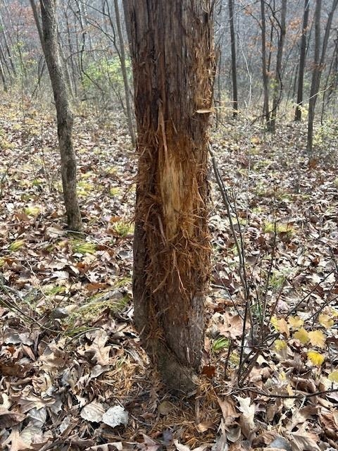 32974 Potter Lane Muscoda, WI 53573 - Photo 14 of 85