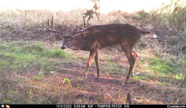 $1,450,000 | 32974 Potter Lane, Muscoda, WI 53573