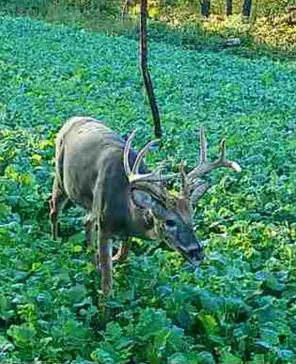 $1,450,000 | 32974 Potter Lane, Muscoda, WI 53573