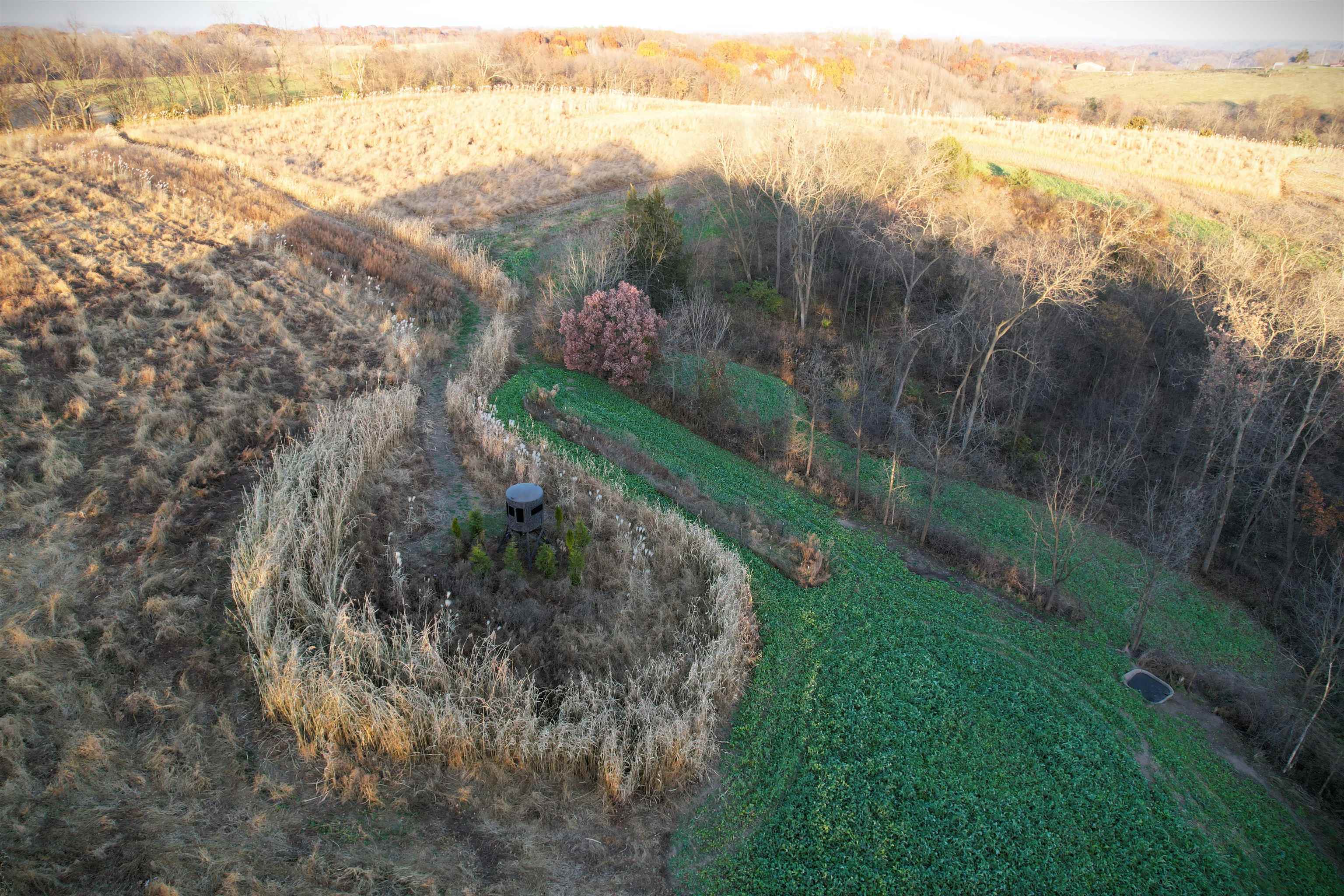 32974 Potter Lane Muscoda, WI 53573 - Photo 18 of 85