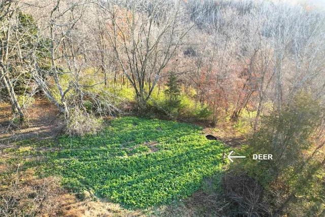 $1,450,000 | 32974 Potter Lane, Muscoda, WI 53573