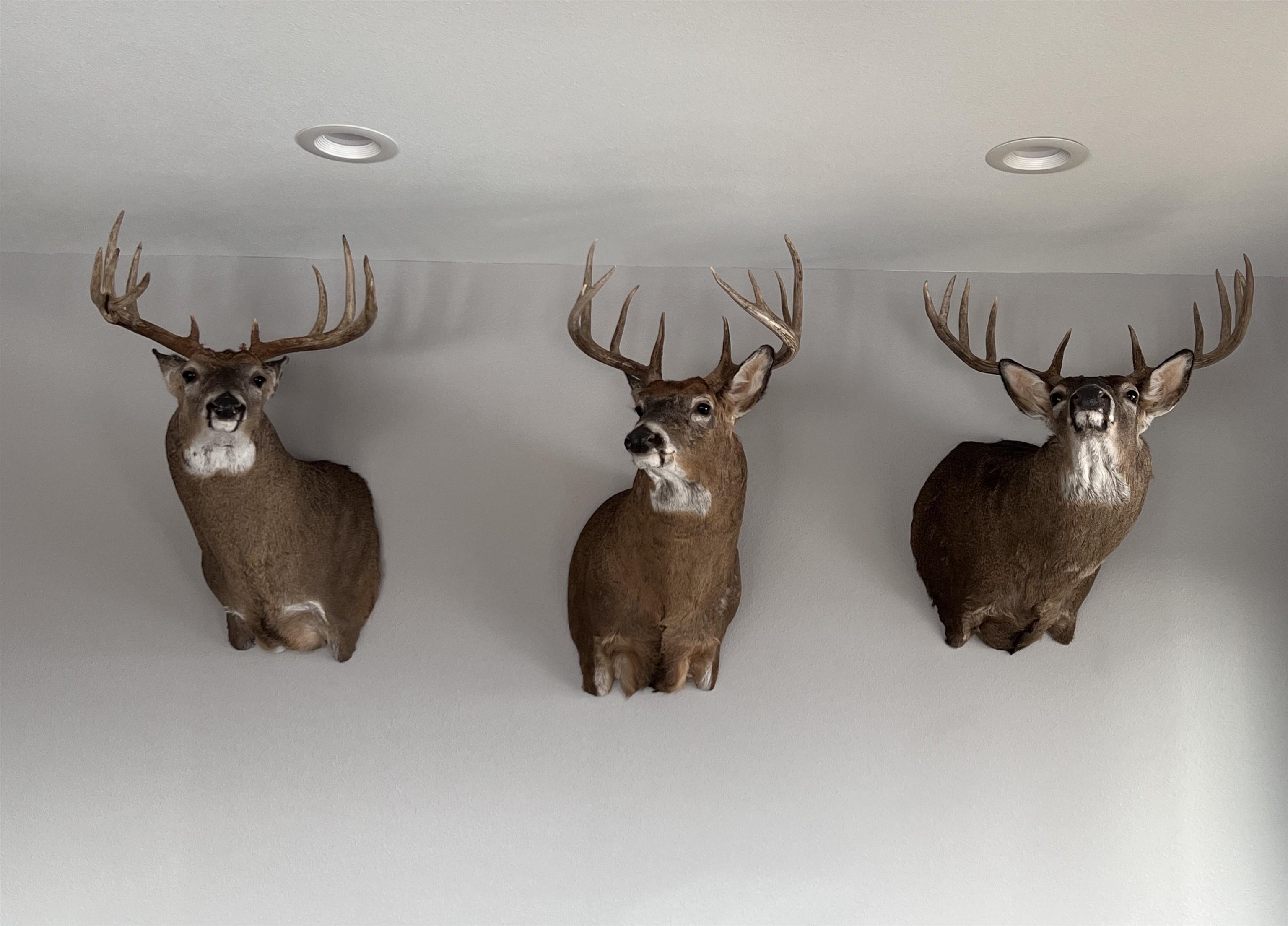 32974 Potter Lane Muscoda, WI 53573 - Photo 2 of 85