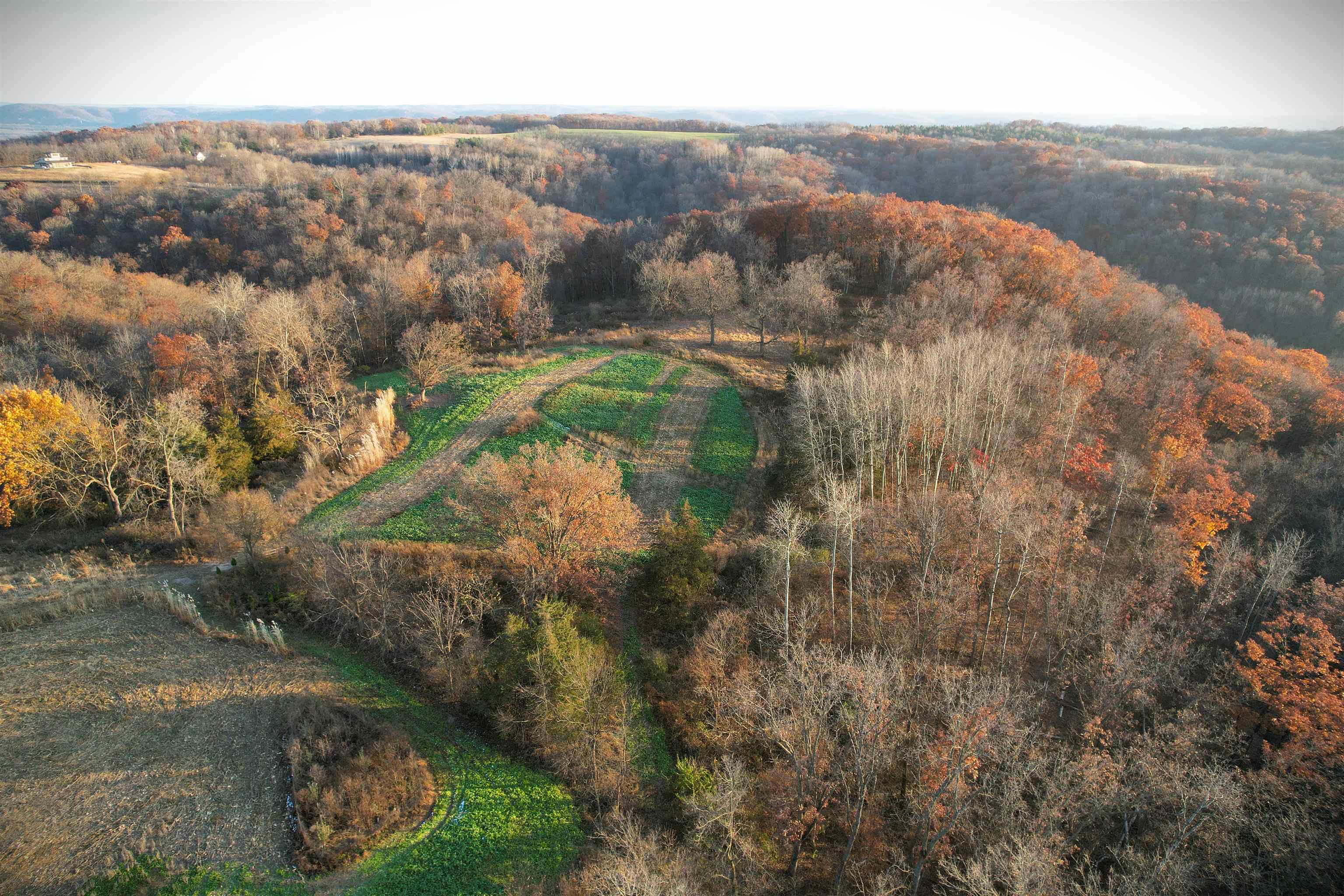 32974 Potter Lane Muscoda, WI 53573 - Photo 3 of 85