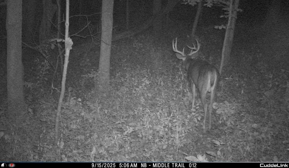 32974 Potter Lane Muscoda, WI 53573 - Photo 42 of 85