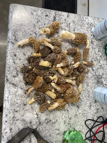 $1,450,000 | 32974 Potter Lane, Muscoda, WI 53573