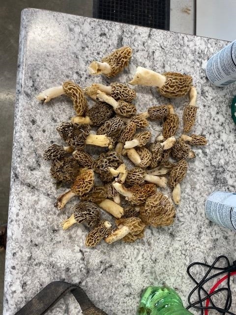 32974 Potter Lane Muscoda, WI 53573 - Photo 43 of 85