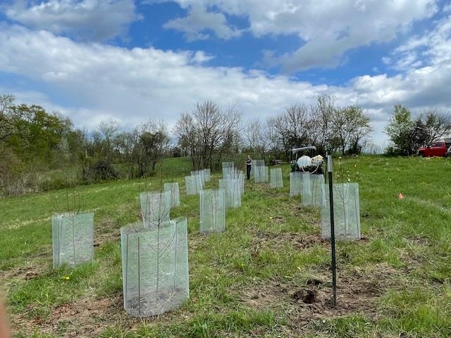 32974 Potter Lane Muscoda, WI 53573 - Photo 44 of 85