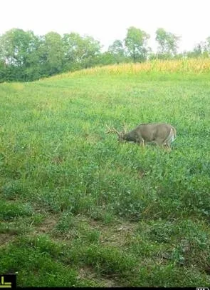 $1,450,000 | 32974 Potter Lane, Muscoda, WI 53573