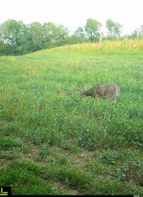 32974 Potter Lane Muscoda, WI 53573 - Photo 46 of 85