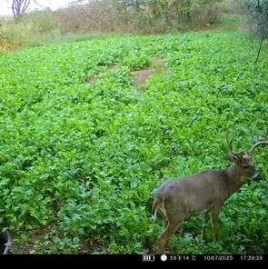 $1,450,000 | 32974 Potter Lane, Muscoda, WI 53573