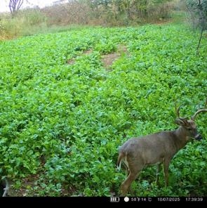 32974 Potter Lane Muscoda, WI 53573 - Photo 47 of 85