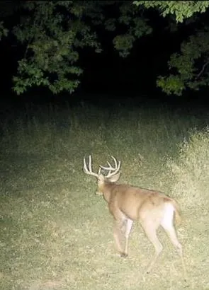 $1,450,000 | 32974 Potter Lane, Muscoda, WI 53573