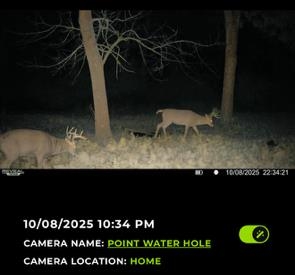 32974 Potter Lane Muscoda, WI 53573 - Photo 49 of 85