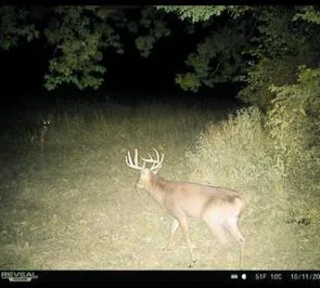 $1,450,000 | 32974 Potter Lane, Muscoda, WI 53573