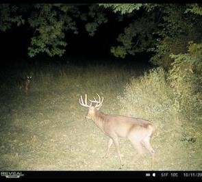 32974 Potter Lane Muscoda, WI 53573 - Photo 50 of 85