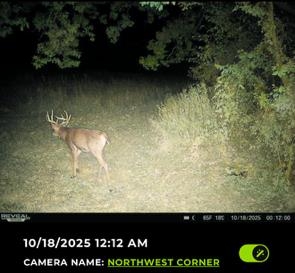 32974 Potter Lane Muscoda, WI 53573 - Photo 51 of 85