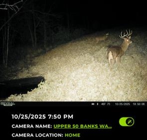 32974 Potter Lane Muscoda, WI 53573 - Photo 52 of 85