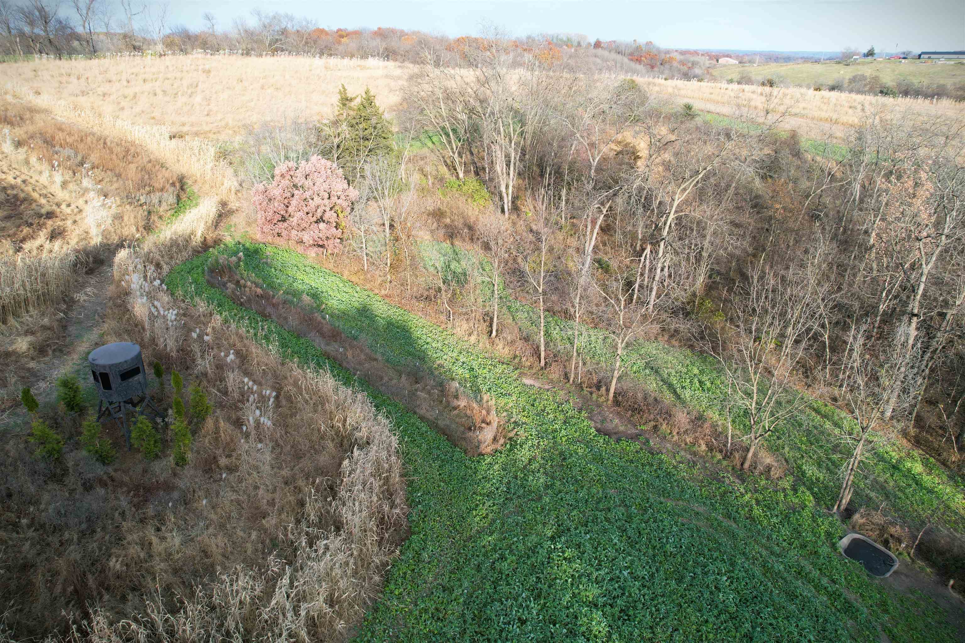 32974 Potter Lane Muscoda, WI 53573 - Photo 59 of 85