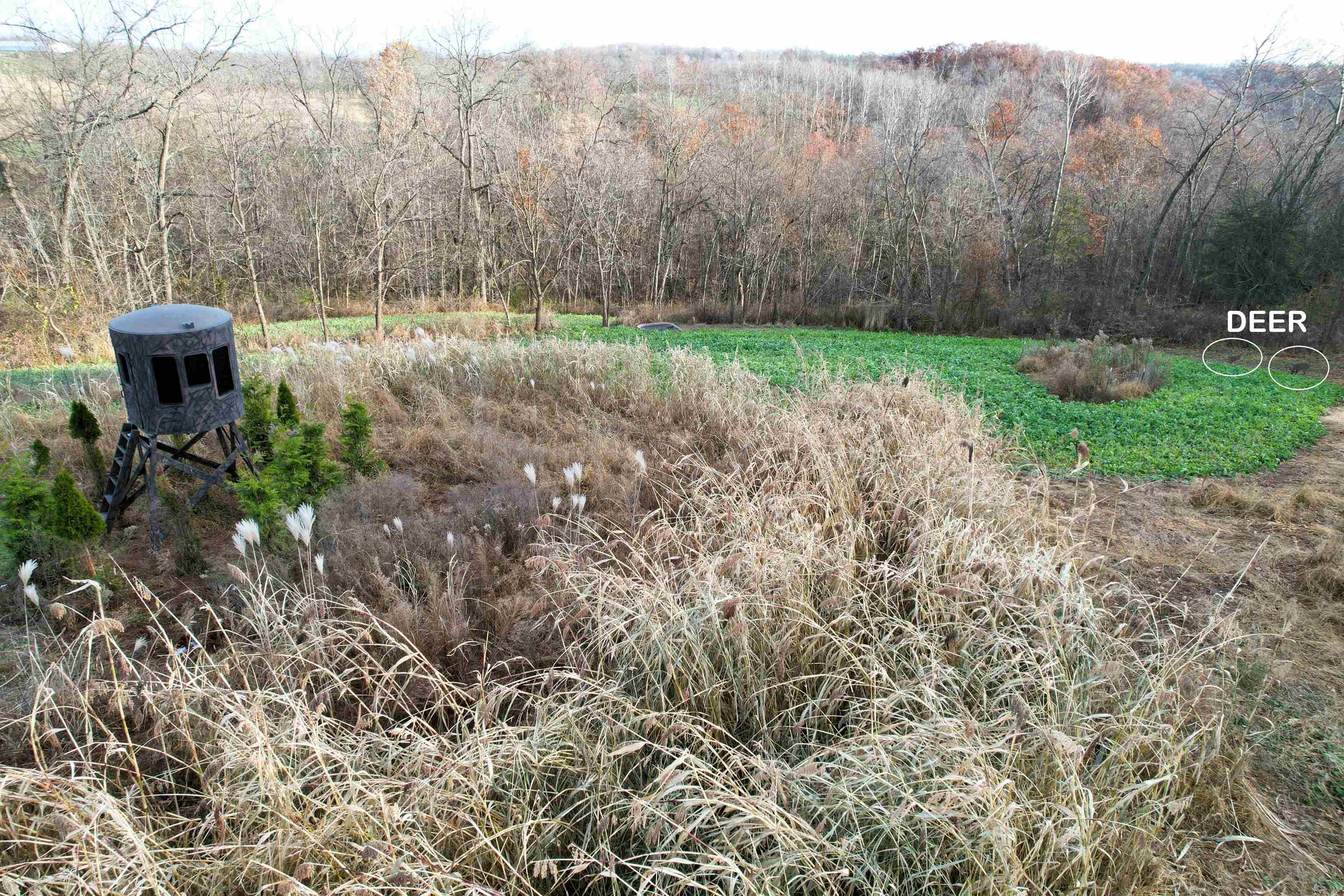 32974 Potter Lane Muscoda, WI 53573 - Photo 6 of 85