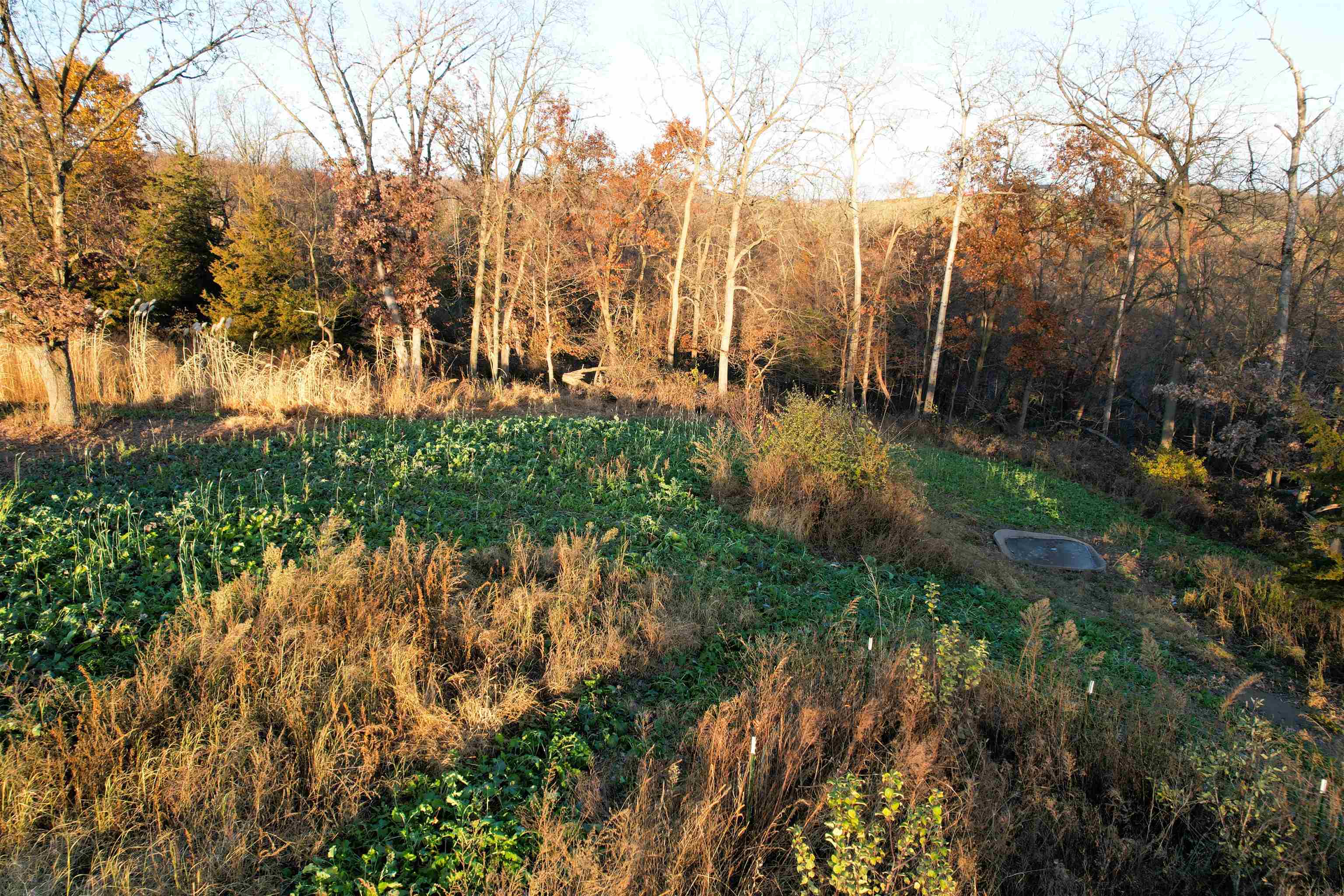 32974 Potter Lane Muscoda, WI 53573 - Photo 69 of 85