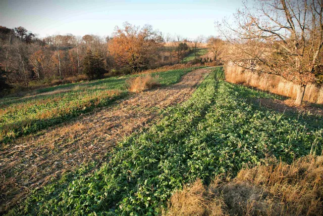 $1,450,000 | 32974 Potter Lane, Muscoda, WI 53573