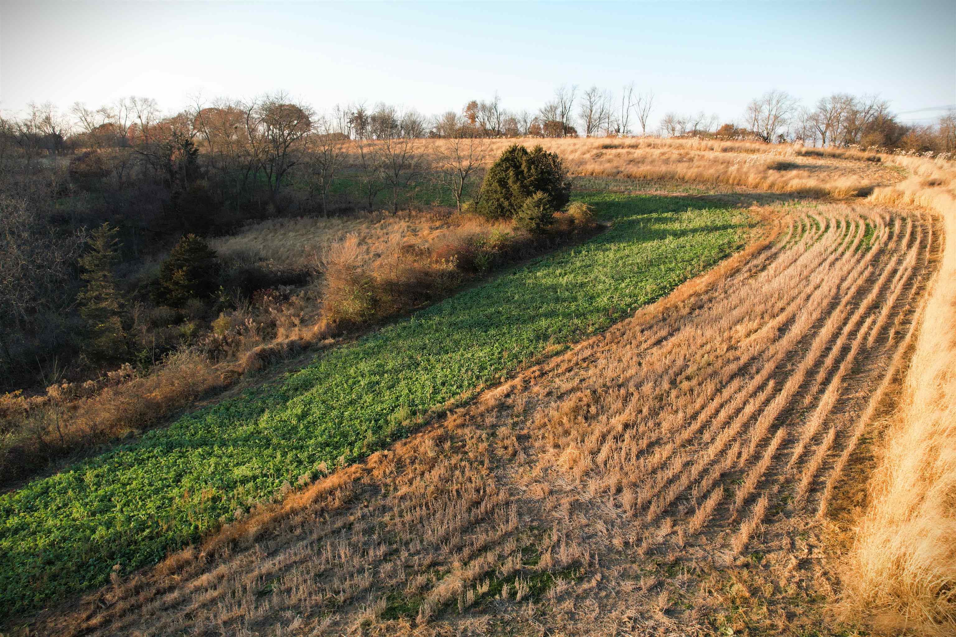 32974 Potter Lane Muscoda, WI 53573 - Photo 71 of 85