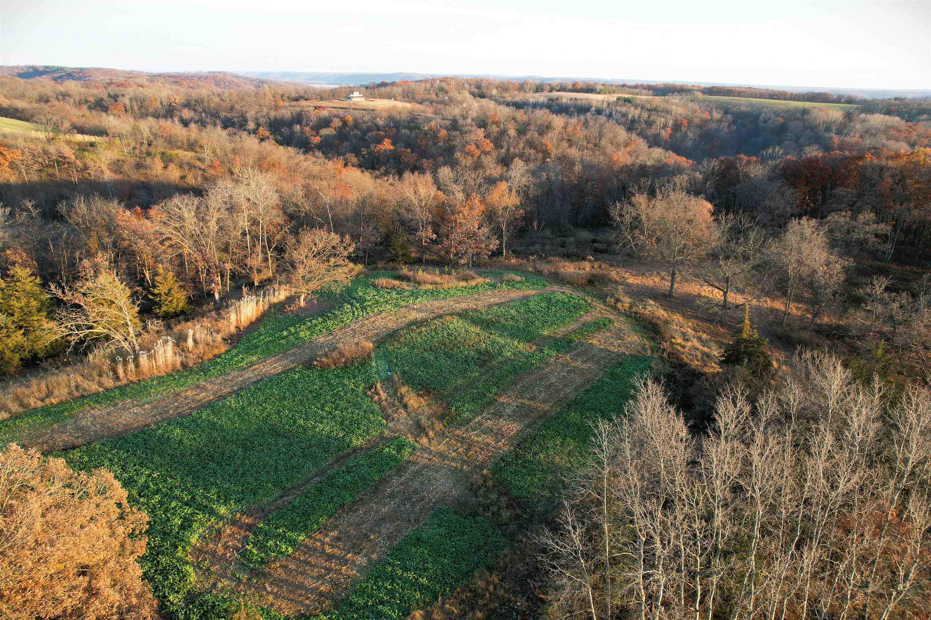 32974 Potter Lane Muscoda, WI 53573 - Photo 73 of 85