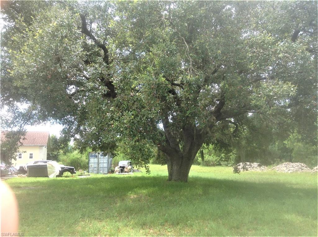 2781 Cecil Road Naples, FL 34114 - Photo 5 of 18 Glorious shady oak tree in back yard behind house