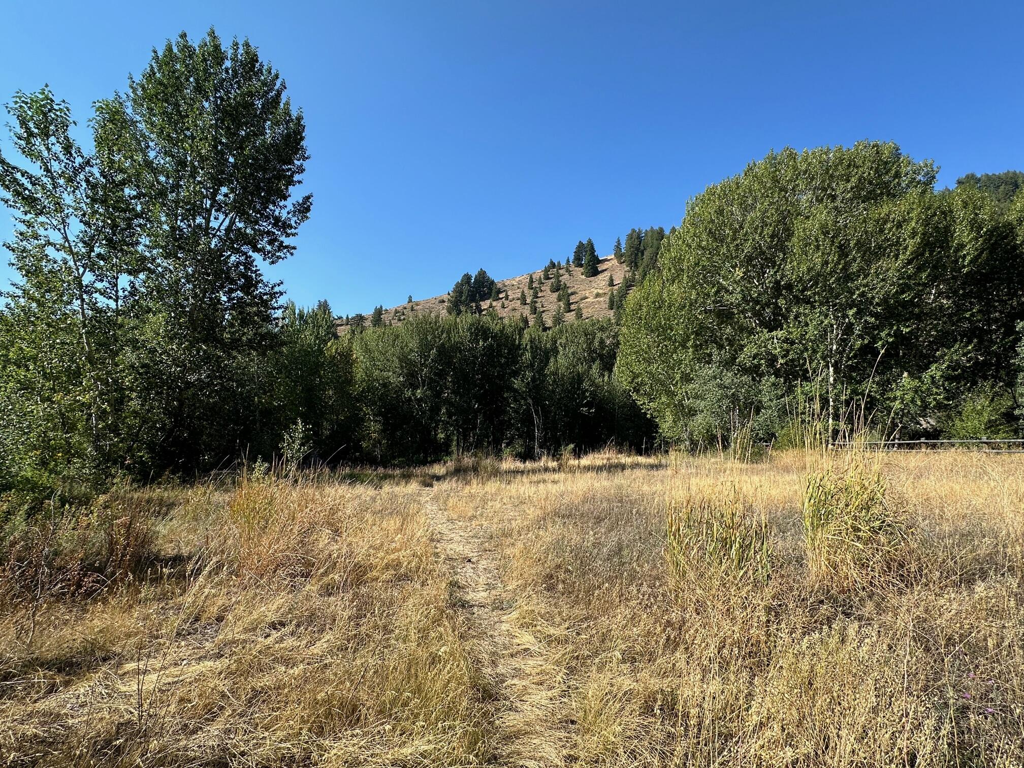 146 River Ranch Road Blaine County, ID 83340 - Photo 5 of 12 5
