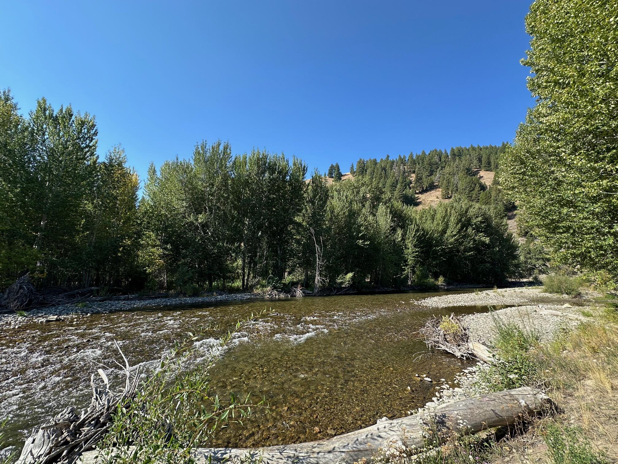 146 River Ranch Road Blaine County, ID 83340 - Photo 6 of 12 6