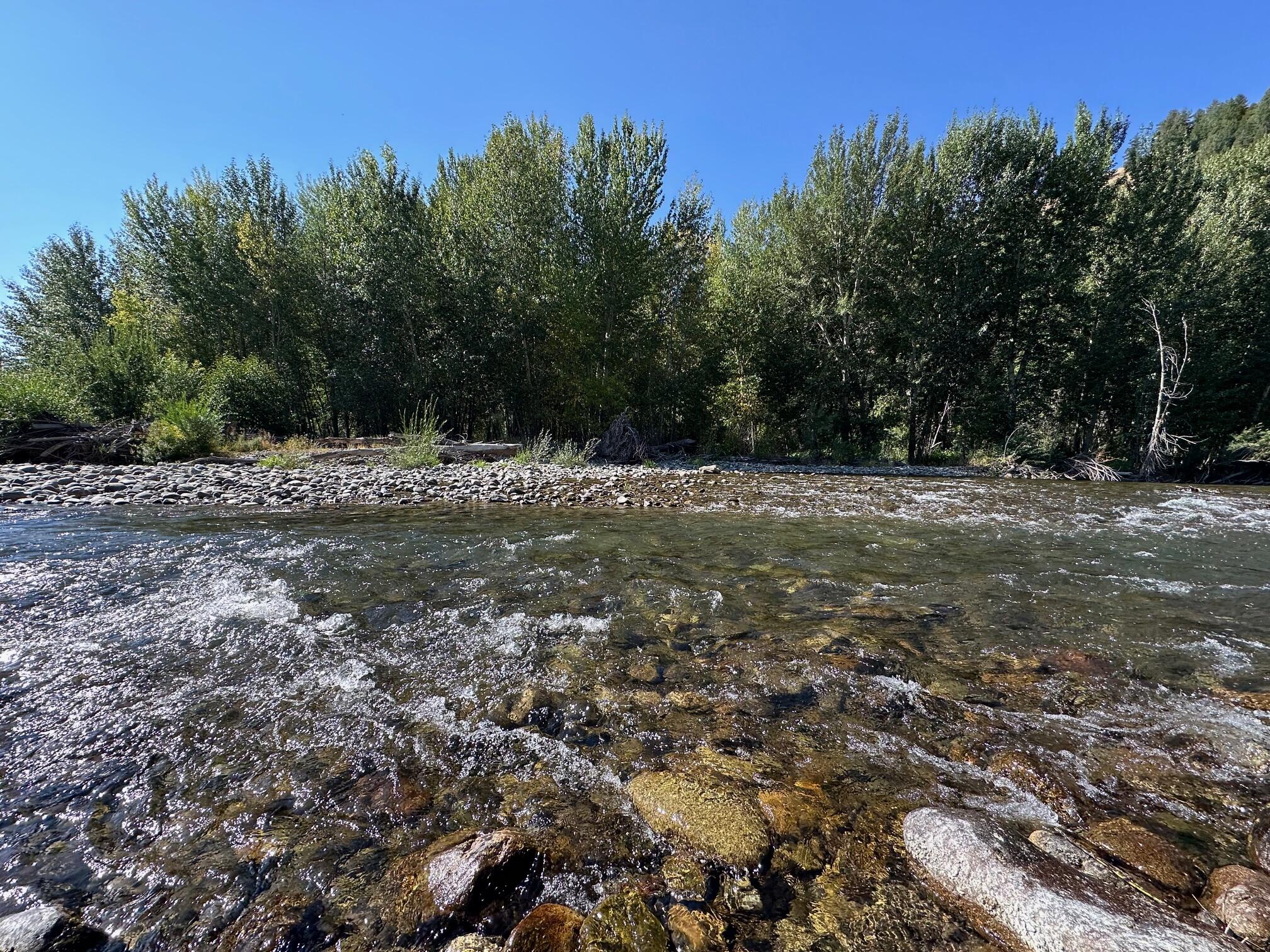 146 River Ranch Road Blaine County, ID 83340 - Photo 7 of 12 7