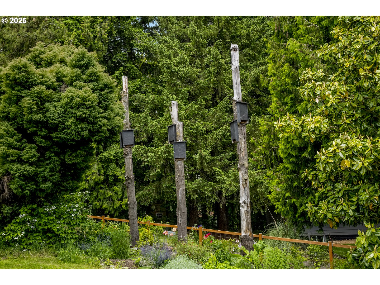 10623 Northeast Fox Farm Road Dundee, OR 97115 - Photo 12 of 47