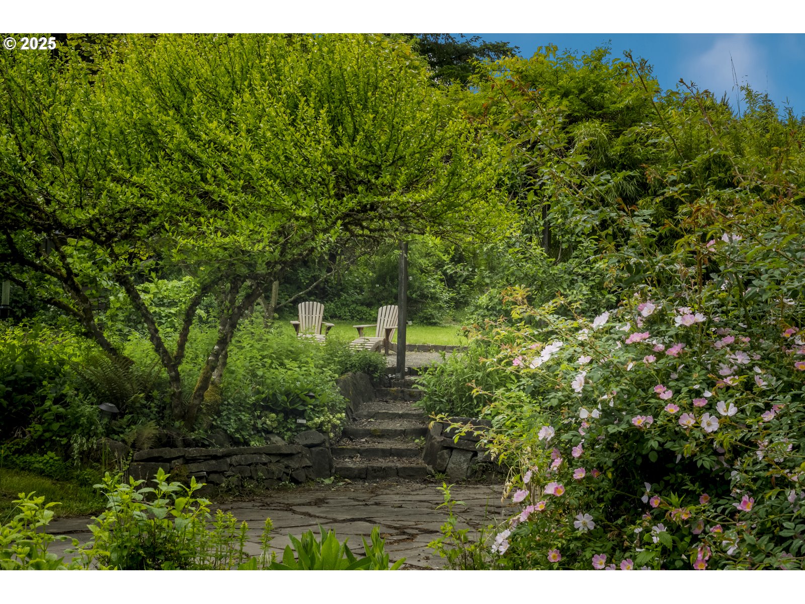 10623 Northeast Fox Farm Road Dundee, OR 97115 - Photo 15 of 47