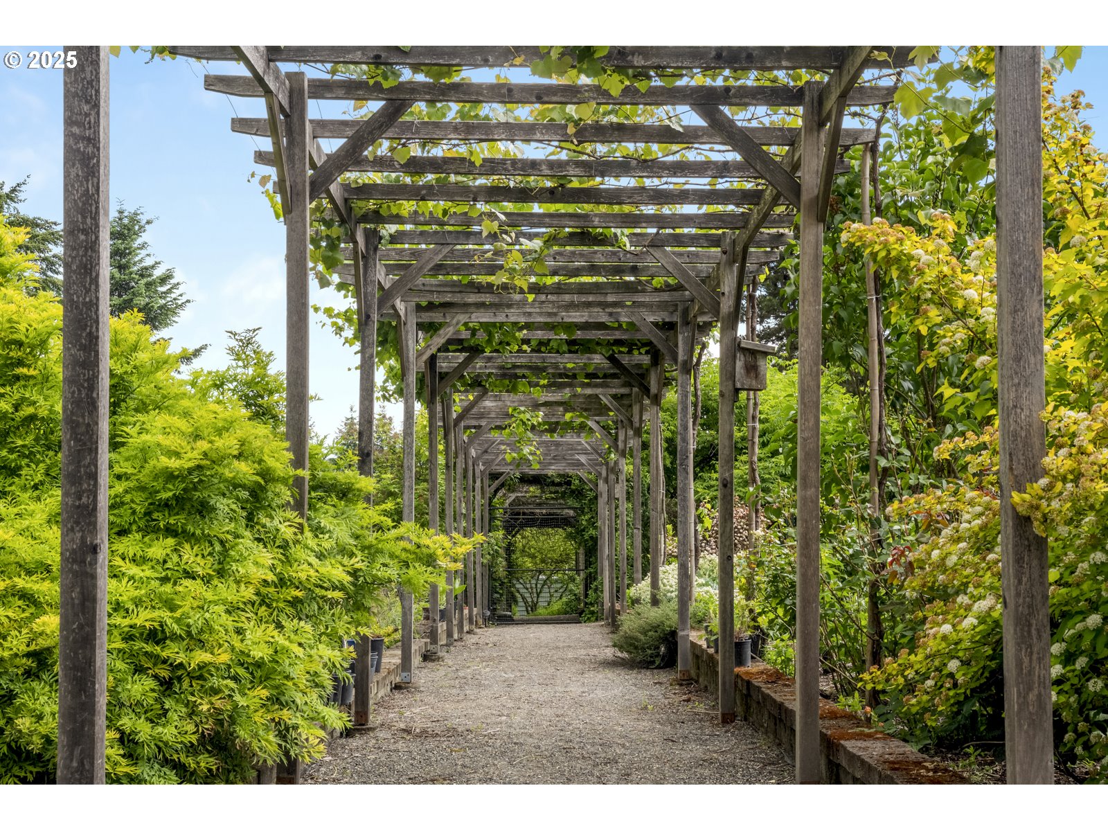 10623 Northeast Fox Farm Road Dundee, OR 97115 - Photo 22 of 47