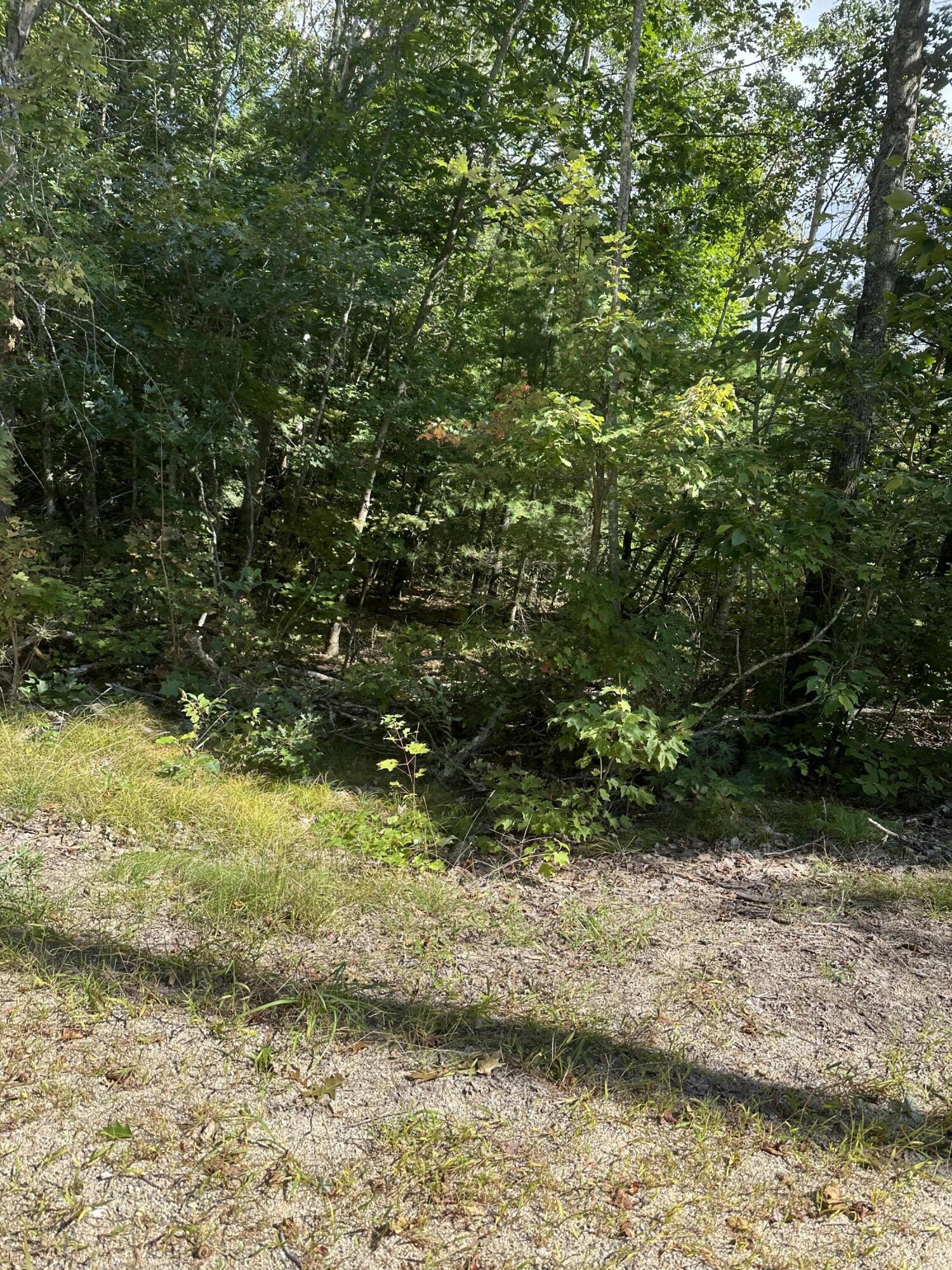 29 Owls Nest Road Shapleigh, ME 04076 - Photo 2 of 2 IMG_0921