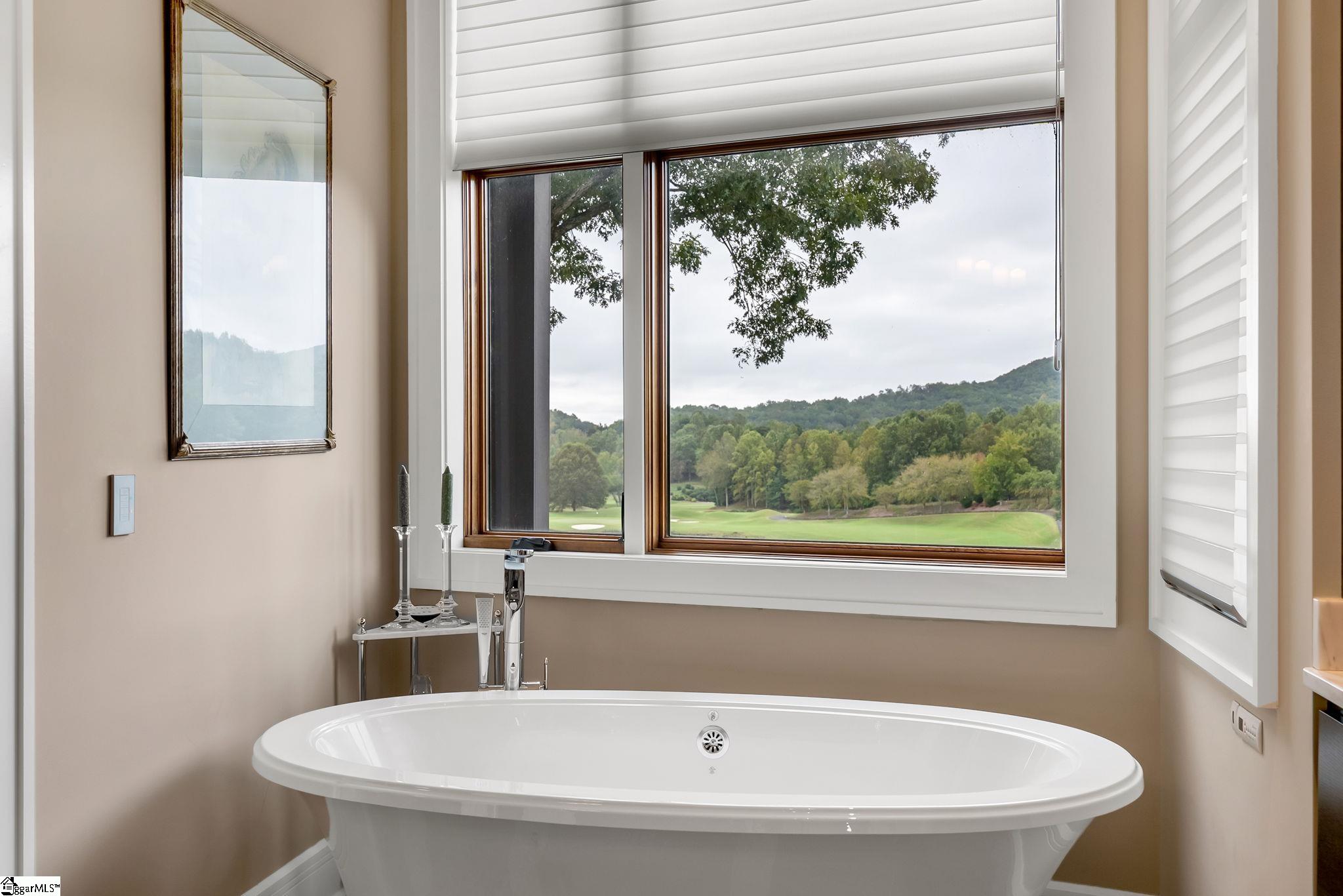 10 Water View Court Travelers Rest, SC 29690 - Photo 34 of 50