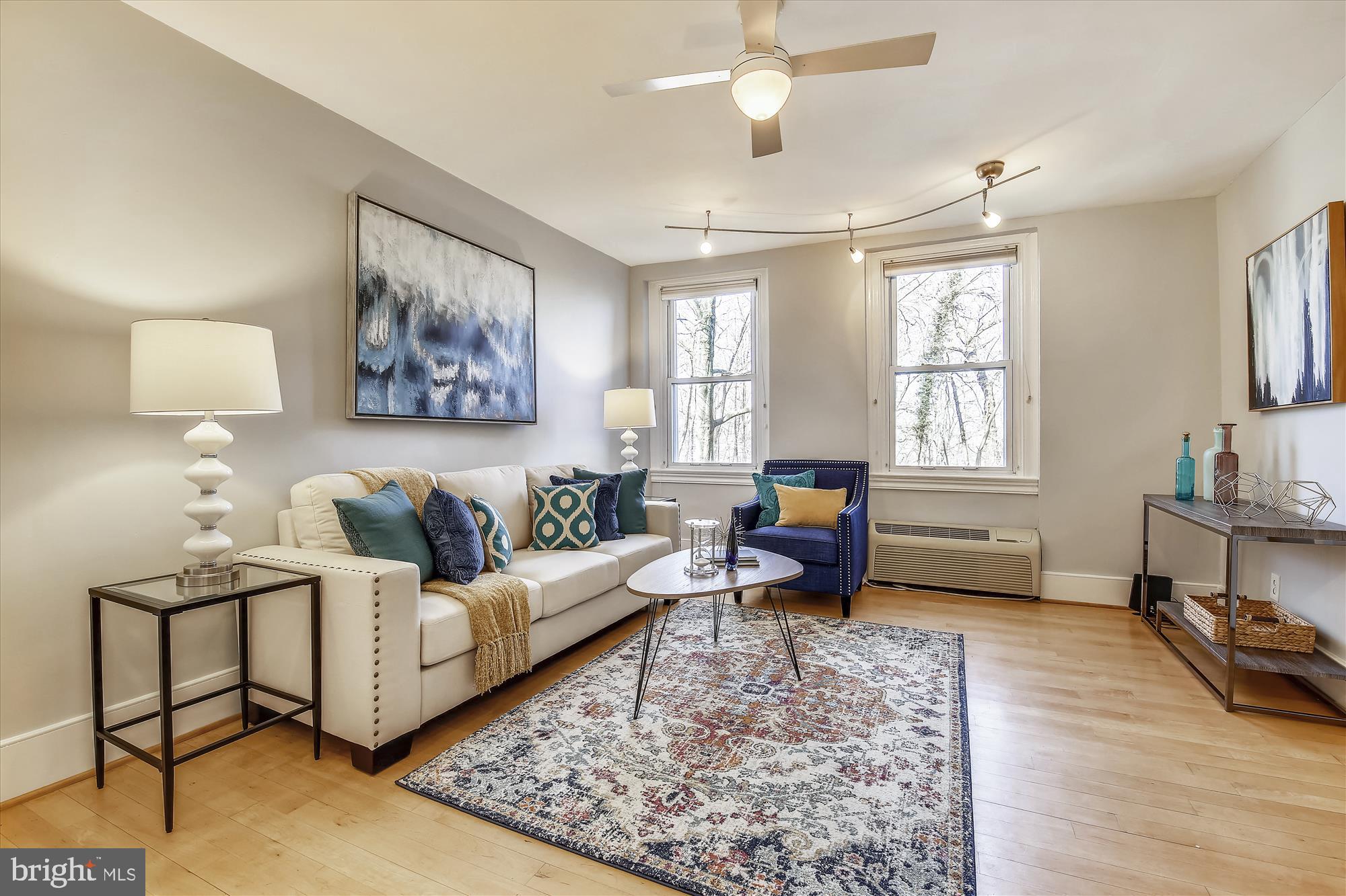 2801 Adams Mill Road Northwest, Unit 101 Washington, DC 20009 - Photo 9 of 28 Living Room