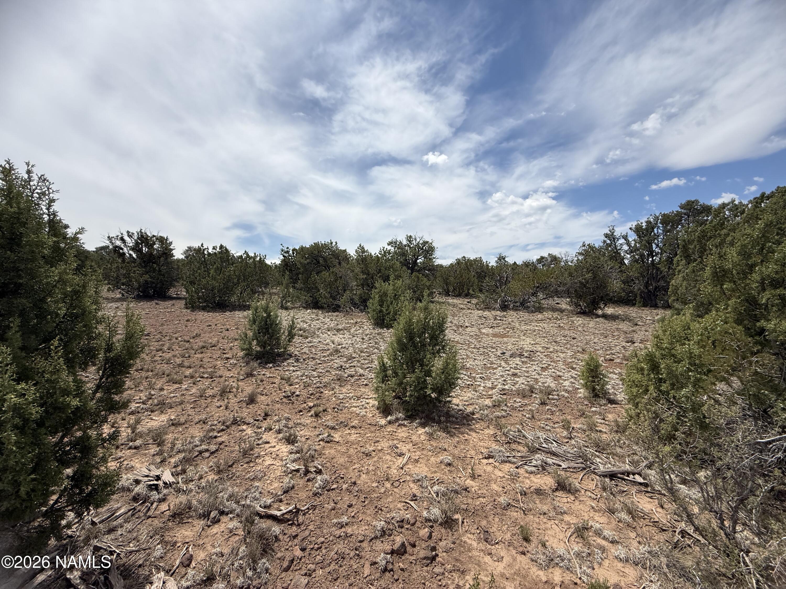 732 East Sidewinder Road Williams, AZ 86046 - Photo 4 of 10 IMG_5387