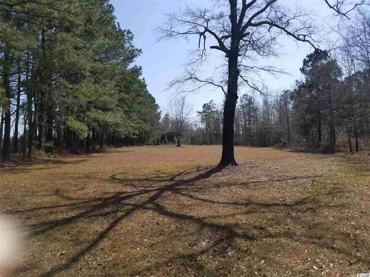 228 State Rd S-26-842 Loris, SC 29569 - Photo 16 of 23 Gallery Image 16