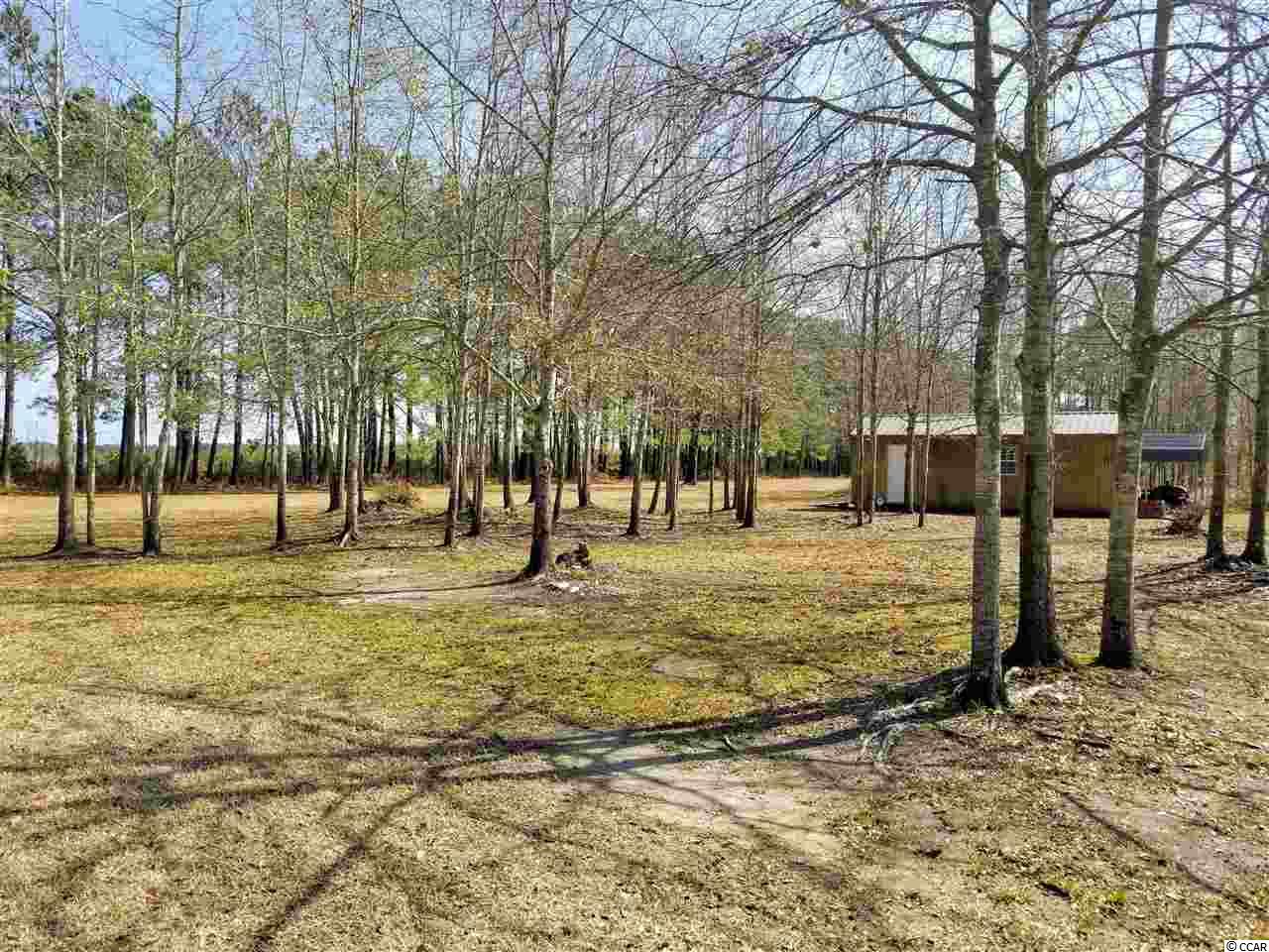 228 State Rd S-26-842 Loris, SC 29569 - Photo 17 of 23 Gallery Image 17