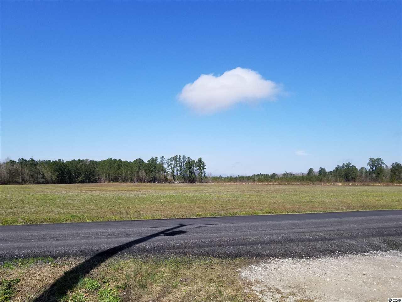 228 State Rd S-26-842 Loris, SC 29569 - Photo 22 of 23 Gallery Image 22