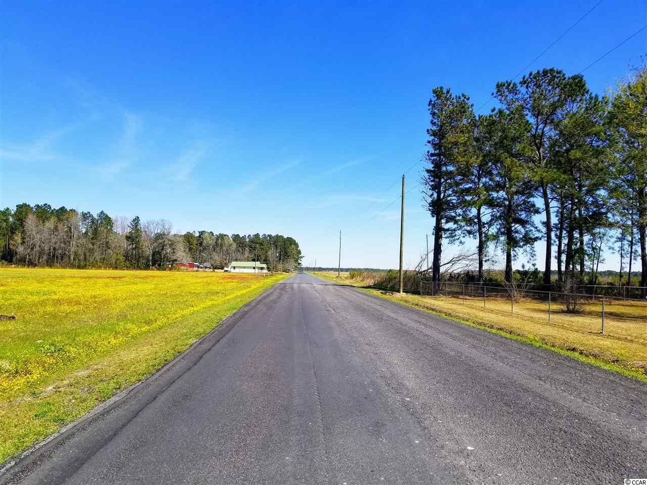 228 State Rd S-26-842 Loris, SC 29569 - Photo 23 of 23 Gallery Image 23