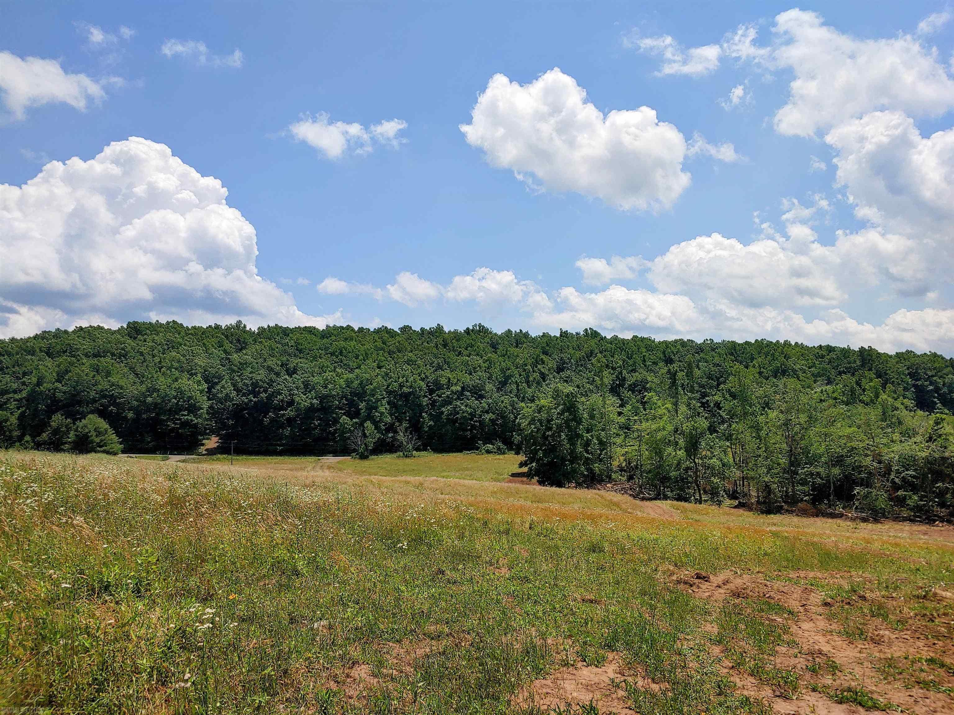 Tbd Buffalo Mountain Road Southwest Meadows Of Dan, VA 24120 - Photo 3 of 9 Gallery Image 3